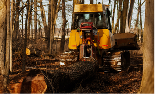 logging timber harvesting in michigan