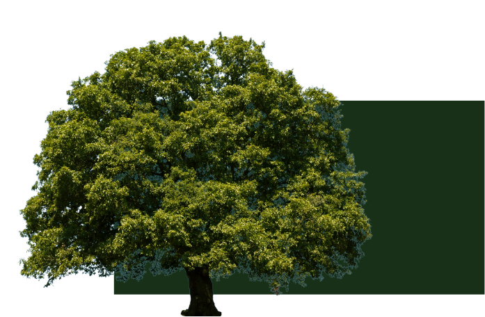Michigan Timber & Ag Website Design-19